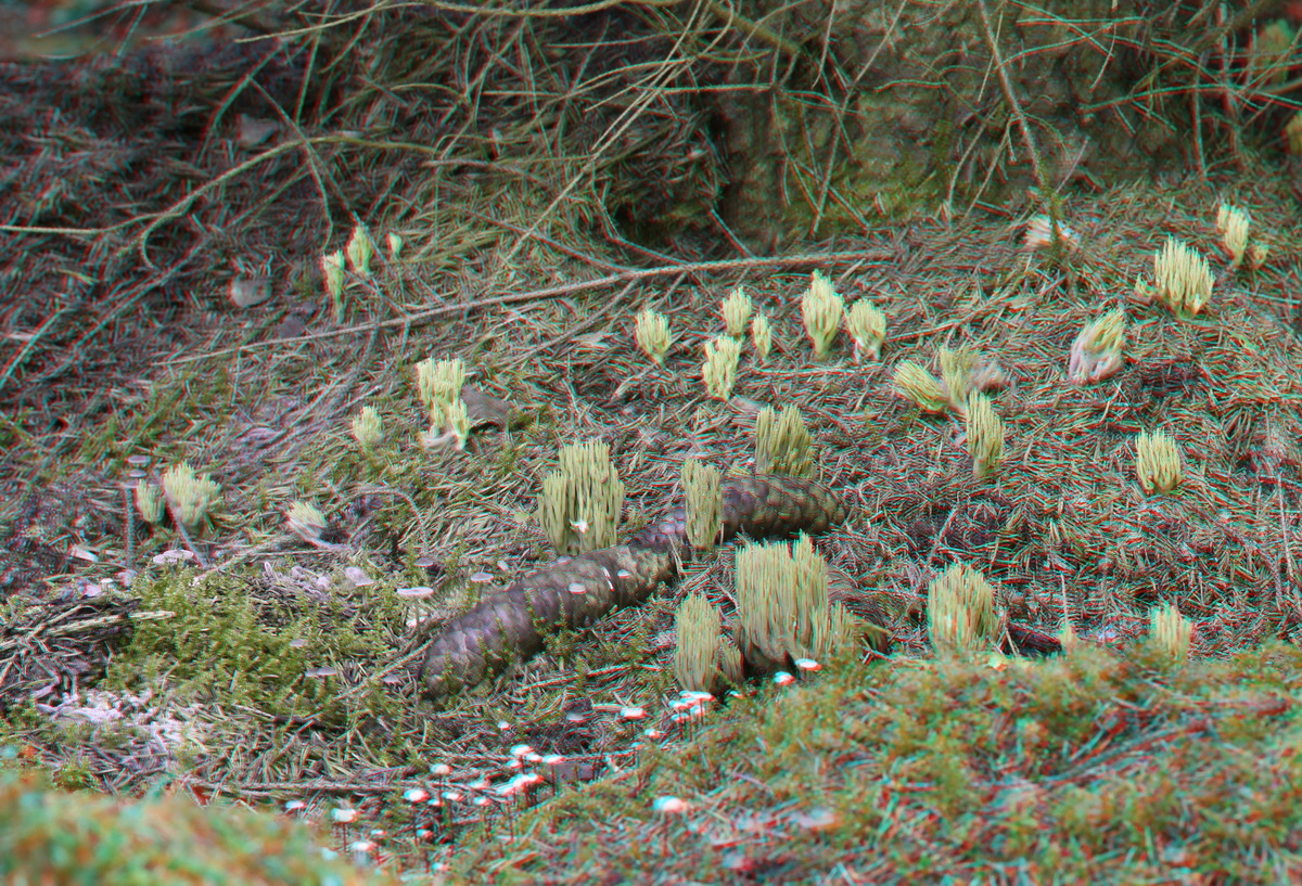 2014_09_09_00050673_3D_Bildgr��e �ndern