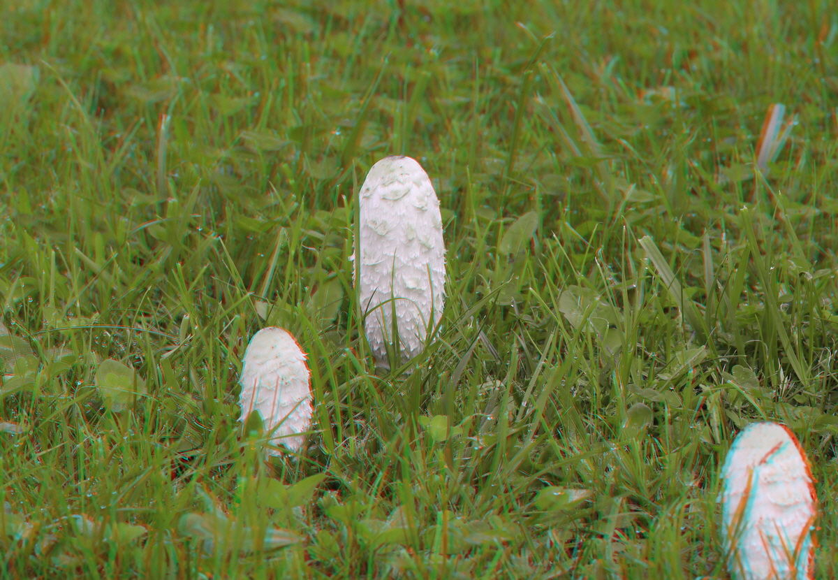 2014_09_09_00050679_3D_Bildgr��e �ndern