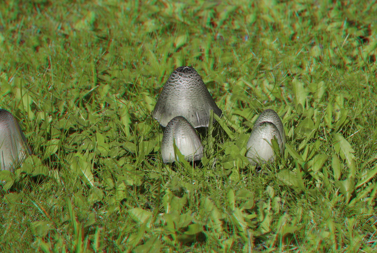 2014_09_09_00050683_3D_Bildgr��e �ndern