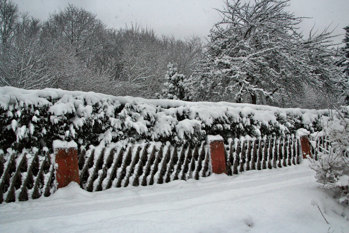 2015_04_02_00016591p_Bildgr��e �ndern