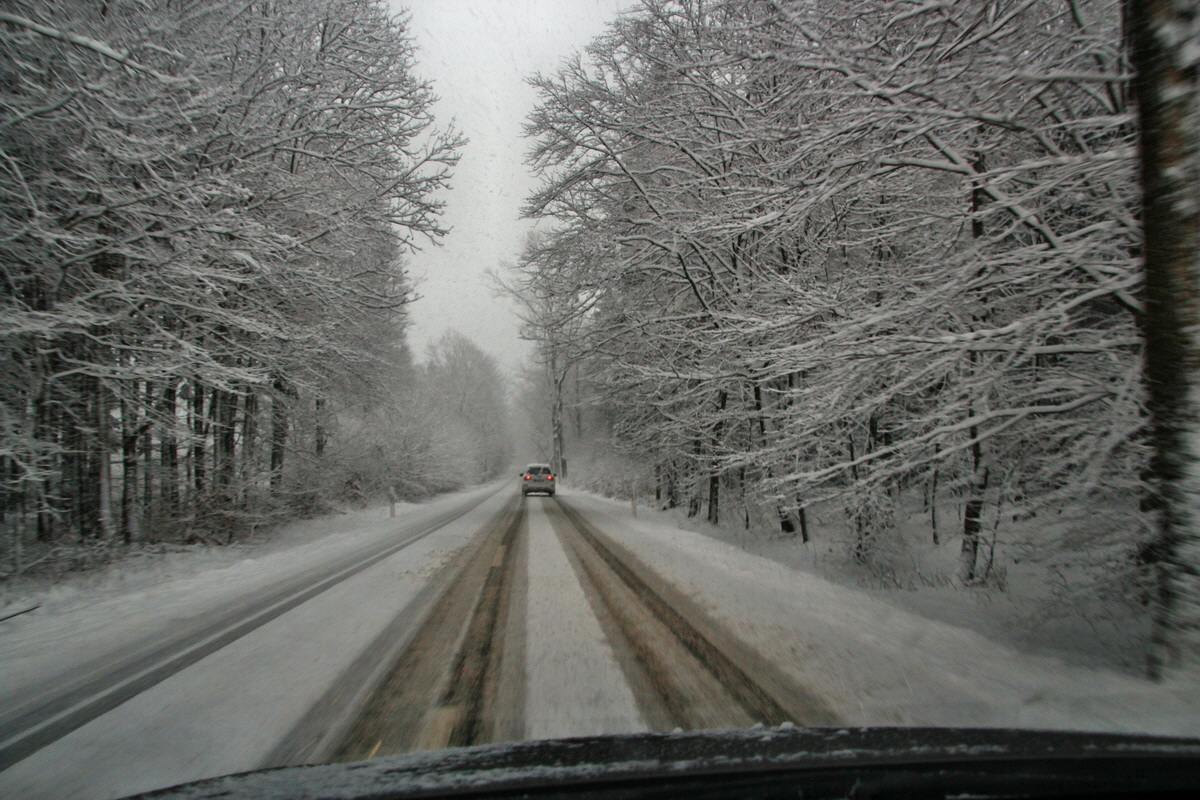 2015_04_02_00016608p_Bildgr��e �ndern