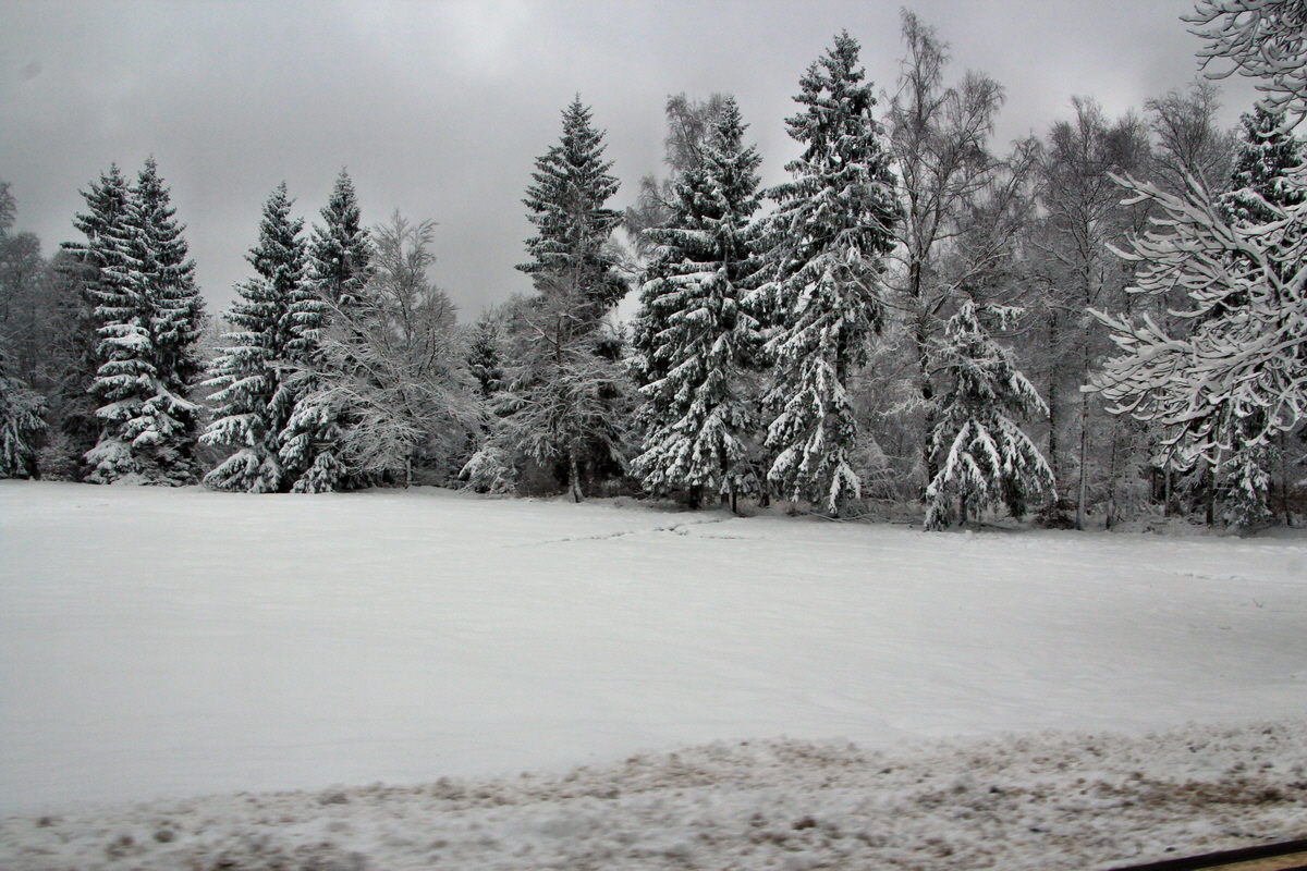 2015_04_02_00016618p_Bildgr��e �ndern