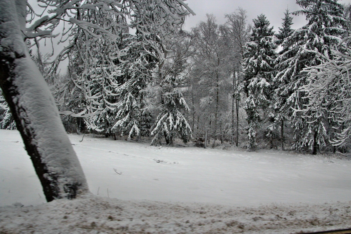 2015_04_02_00016621p_Bildgr��e �ndern