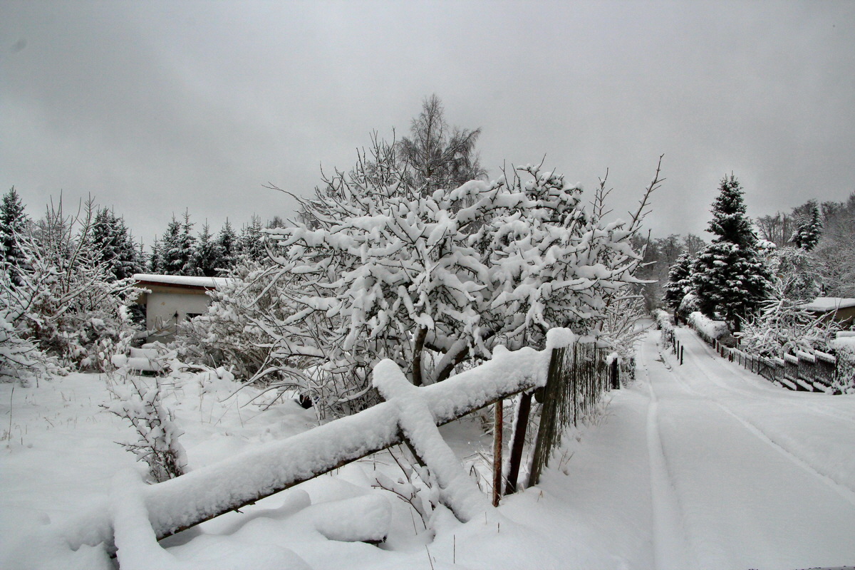 2015_04_02_00016674p_Bildgr��e �ndern