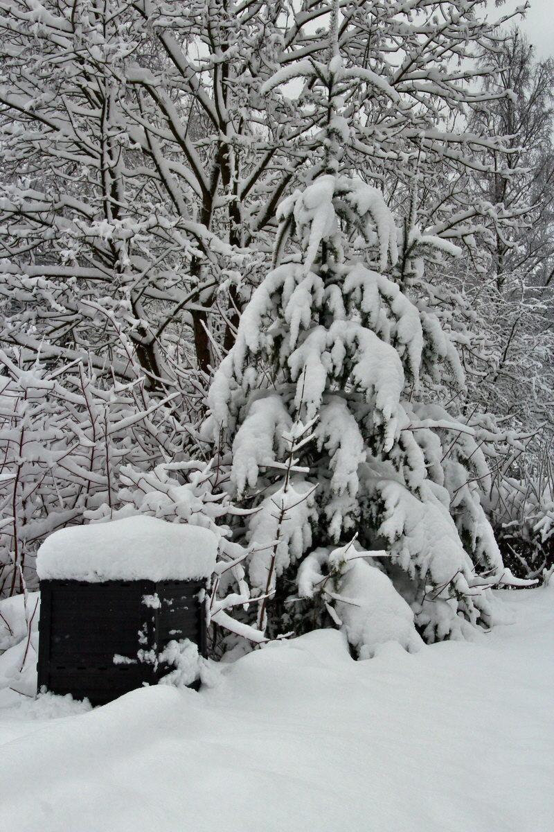 2015_04_02_00016681p_Bildgr��e �ndern