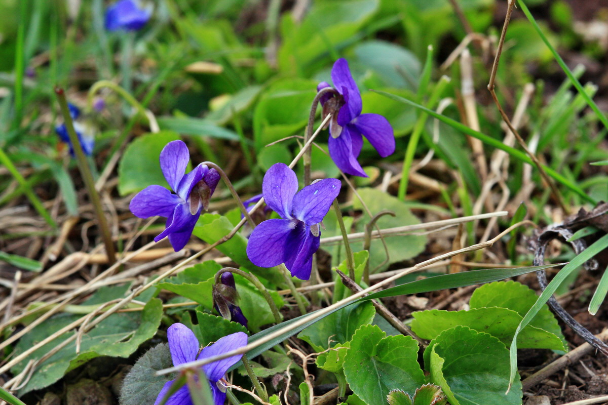 2015_04_06_00016692p_Bildgr��e �ndern