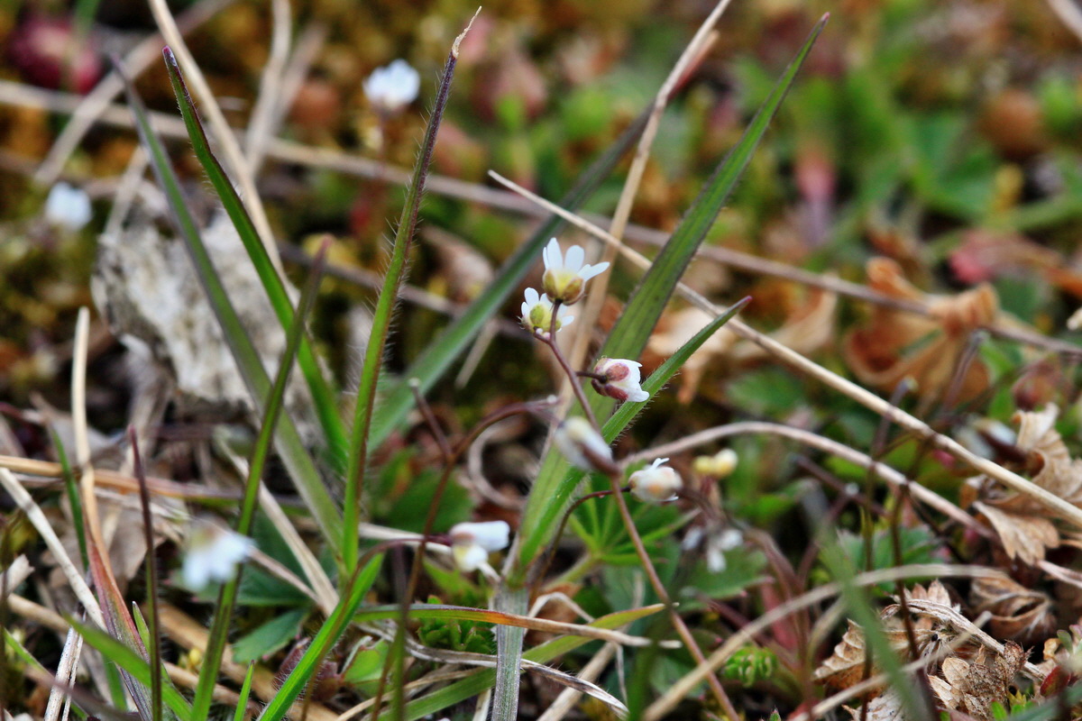 2015_04_06_00016698p_Bildgr��e �ndern