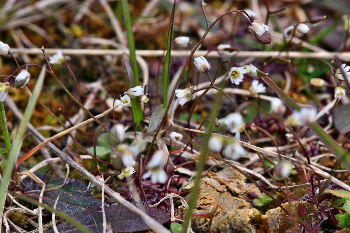 2015_04_06_00016700p_Bildgr��e �ndern