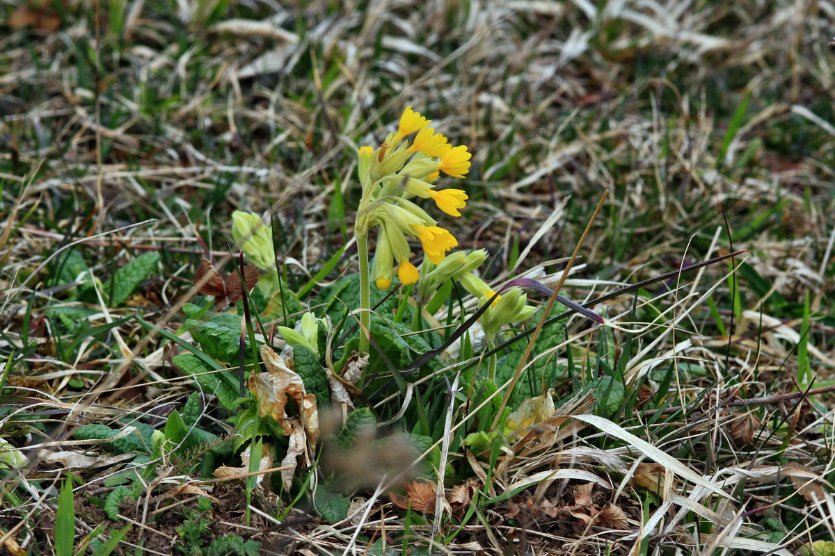 2015_04_06_00016704p_Bildgr��e �ndern