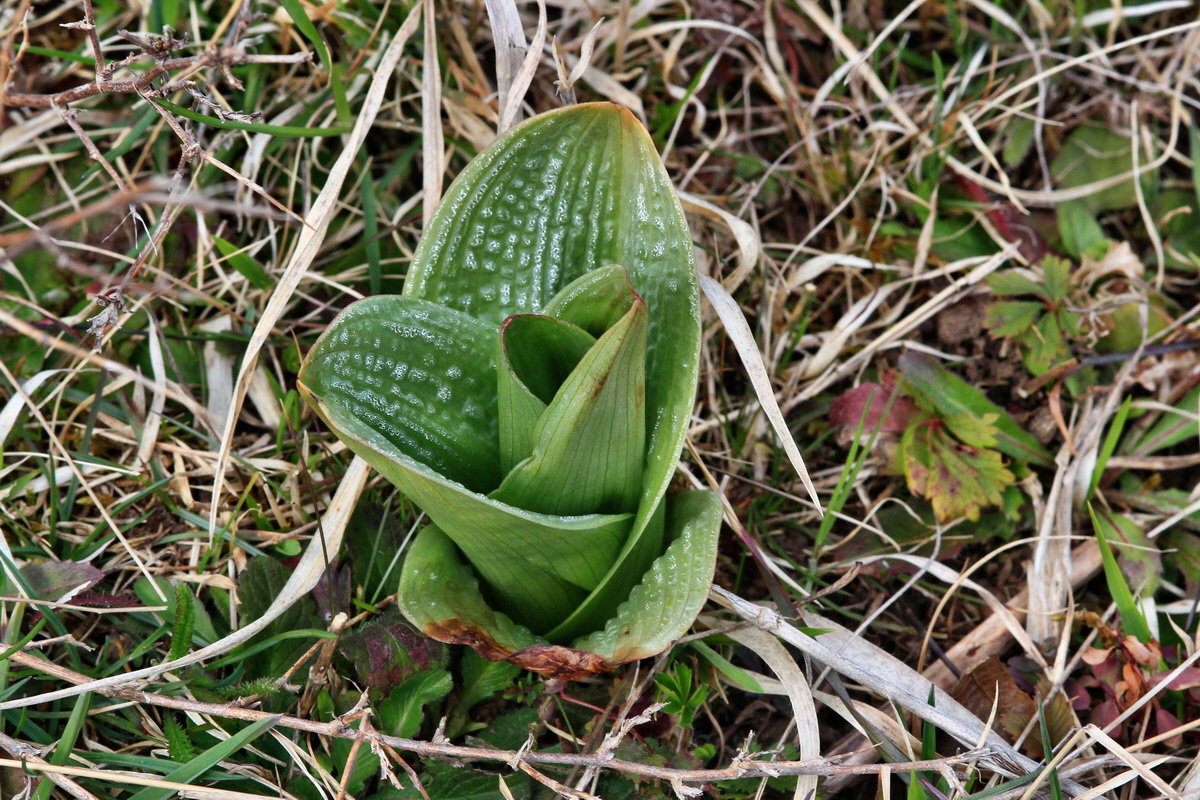 2015_04_06_00016708p_Bildgr��e �ndern