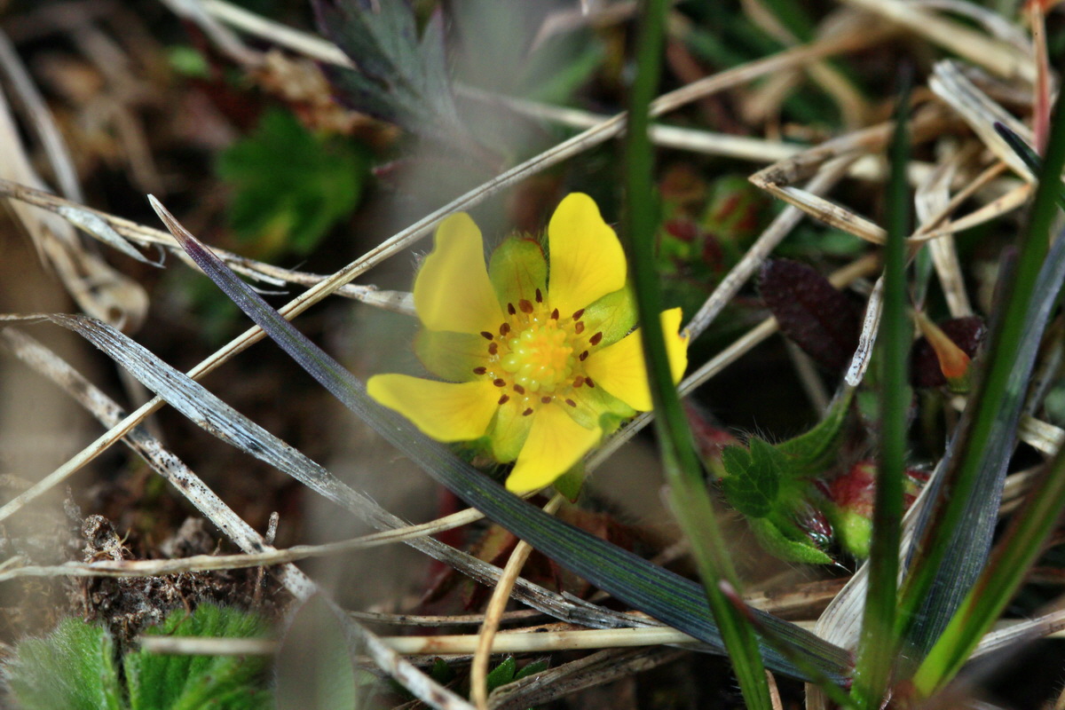 2015_04_06_00016710p_Bildgr��e �ndern