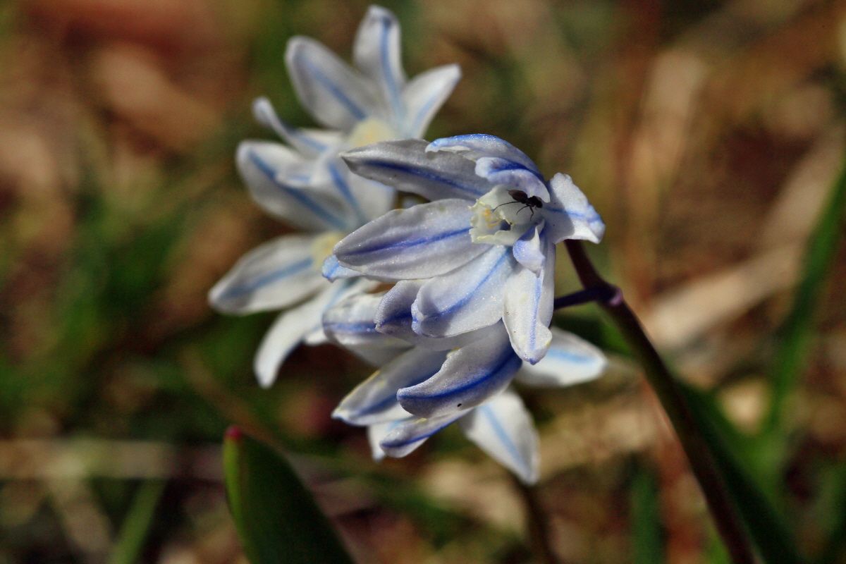 2015_04_06_00016717p_Bildgr��e �ndern