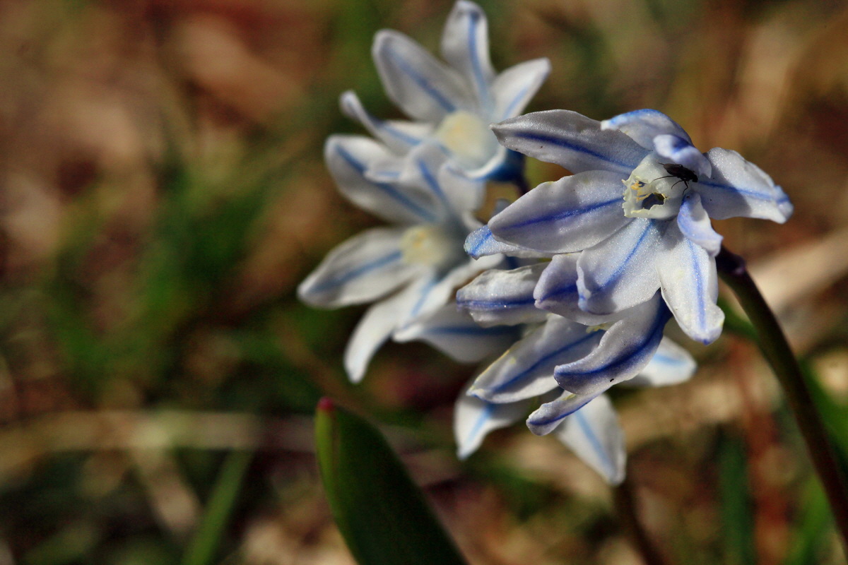 2015_04_06_00016720p_Bildgr��e �ndern