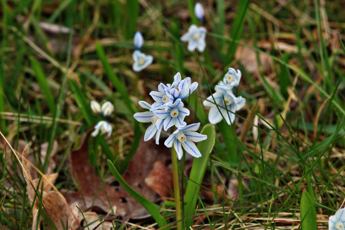 2015_04_06_00016725p_Bildgr��e �ndern