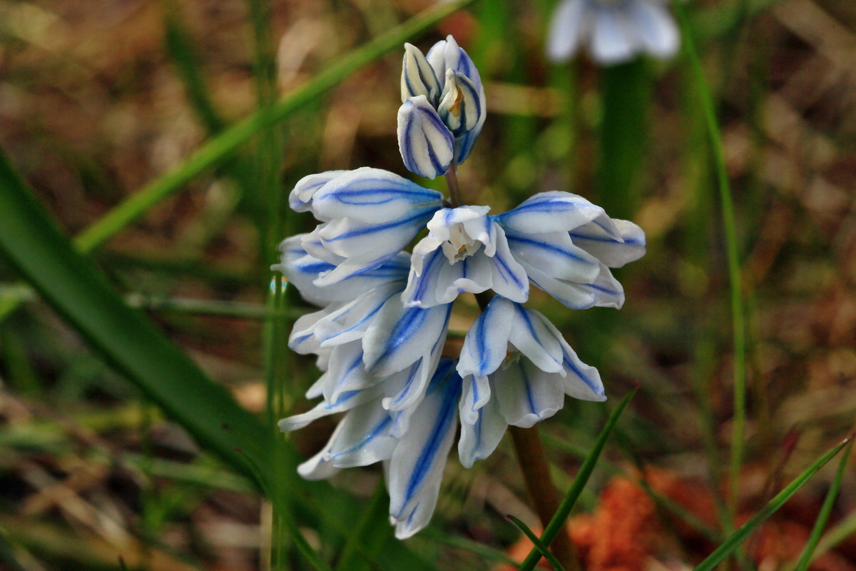 2015_04_06_00016726p_Bildgr��e �ndern