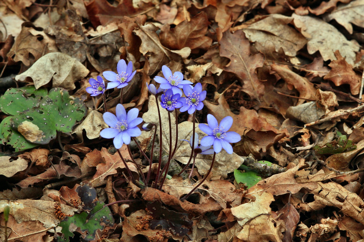 2015_04_06_00016730p_Bildgr��e �ndern