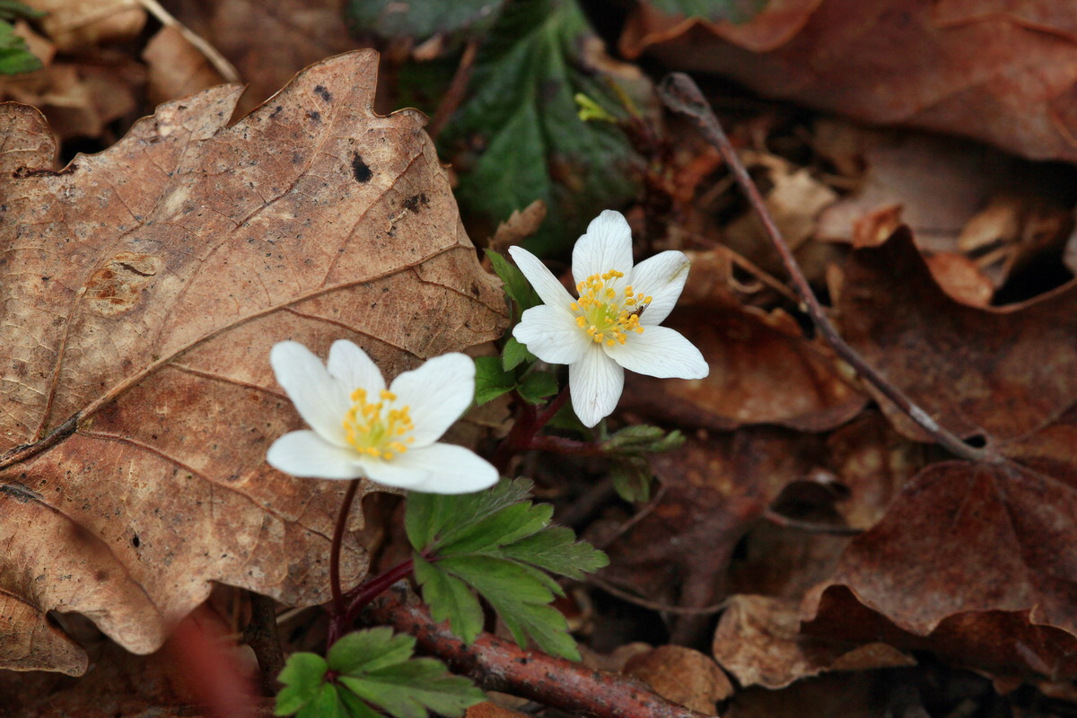 2015_04_06_00016736p_Bildgr��e �ndern