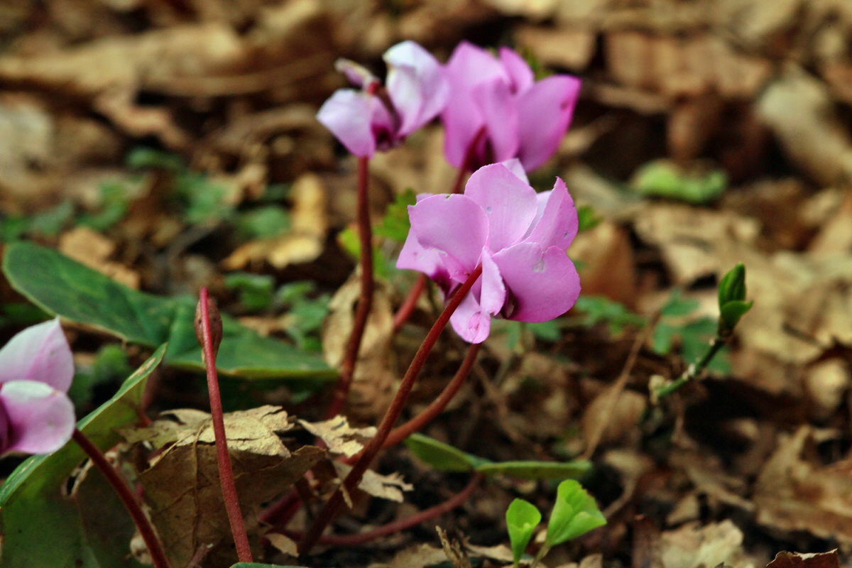 2015_04_06_00016739p_Bildgr��e �ndern