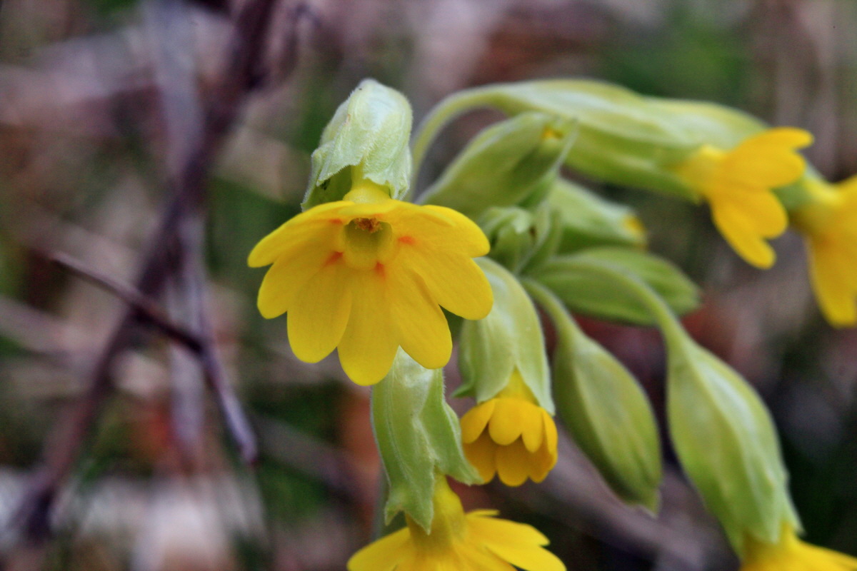 2015_04_06_00016754p_Bildgr��e �ndern