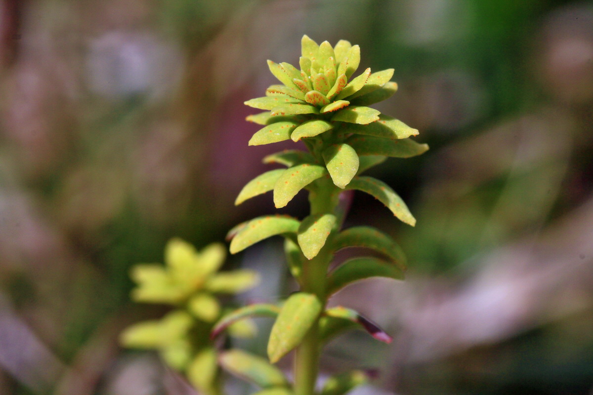 2015_04_06_00016758p_Bildgr��e �ndern