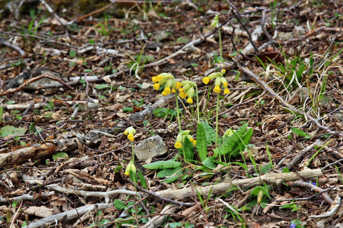 2015_04_06_00016770p_Bildgr��e �ndern