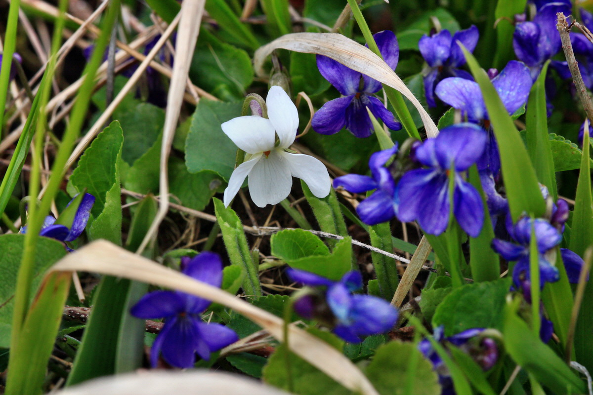 2015_04_06_00016773p_Bildgr��e �ndern