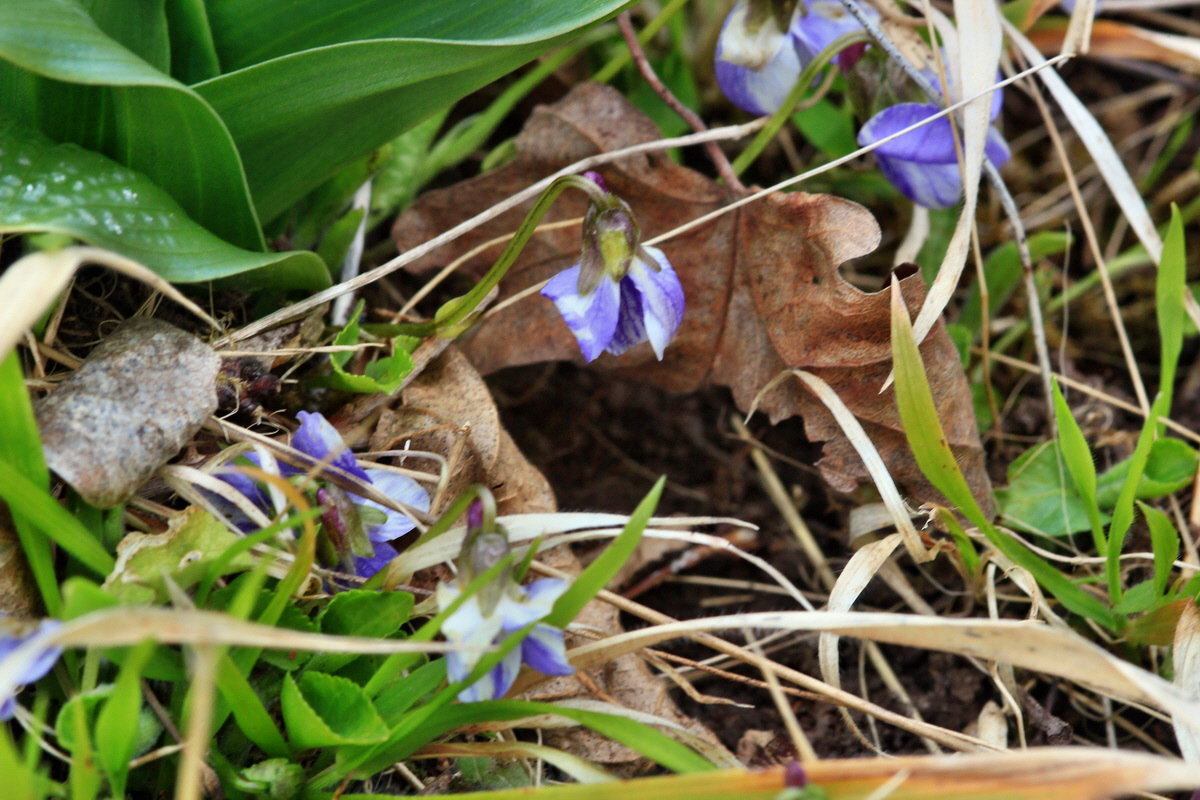 2015_04_06_00016776p_Bildgr��e �ndern