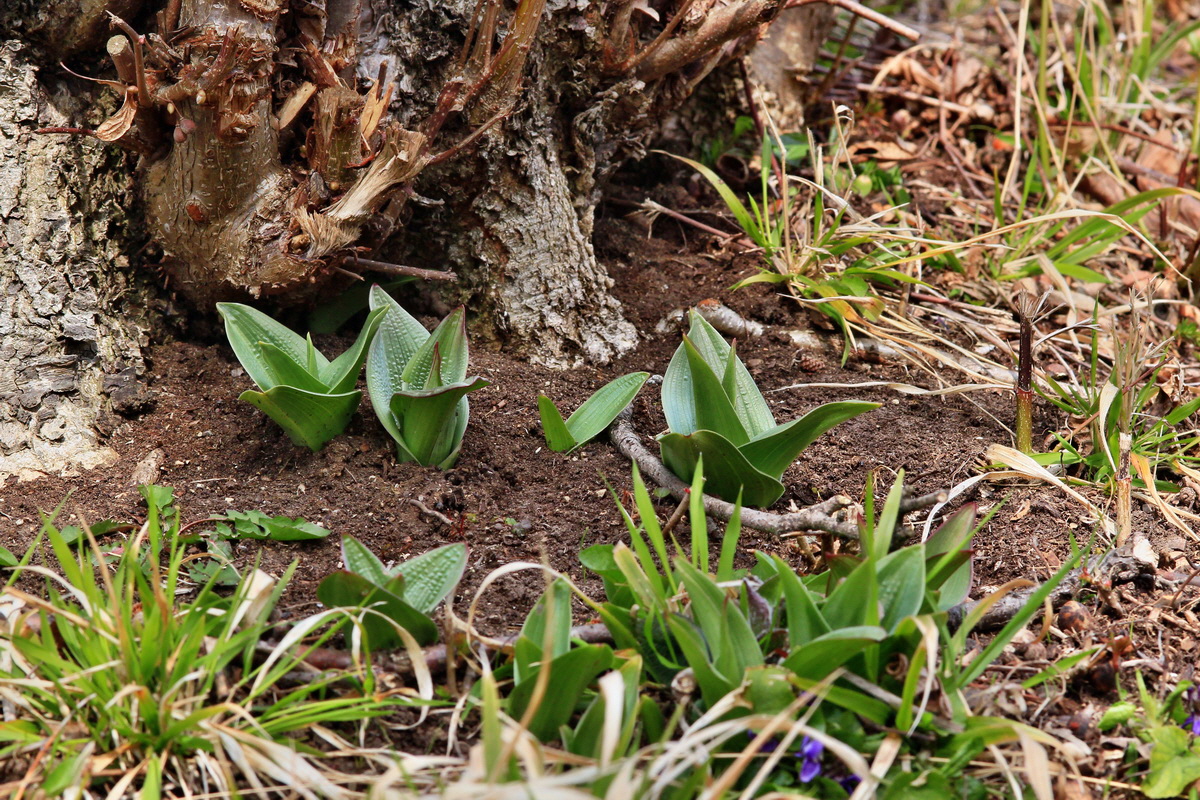 2015_04_06_00016777p_Bildgr��e �ndern