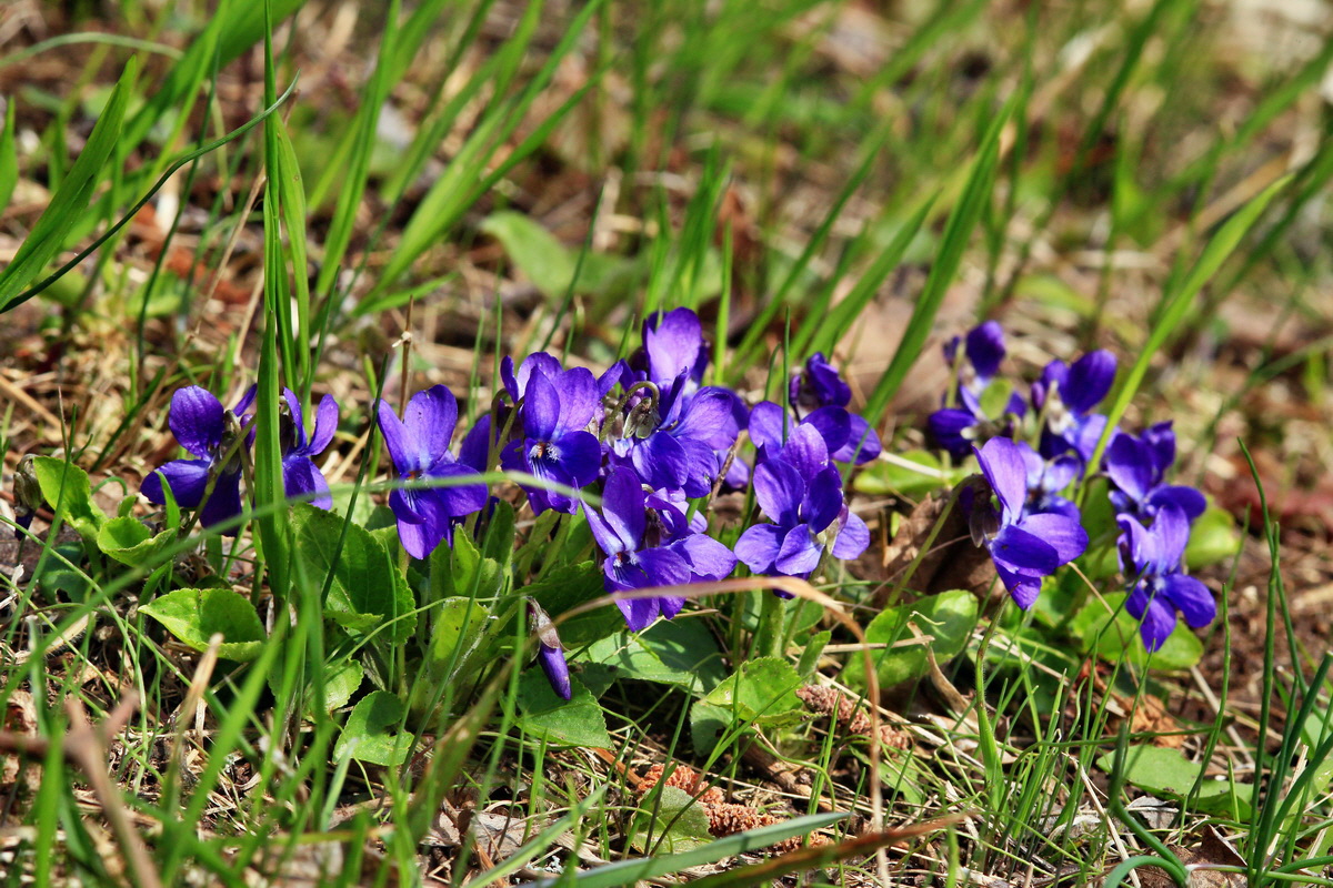 2015_04_06_00016783p_Bildgr��e �ndern