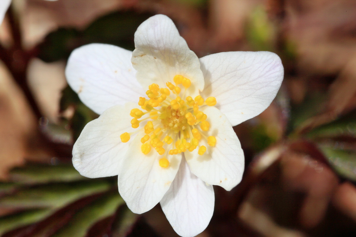 2015_04_06_00016789p_Bildgr��e �ndern