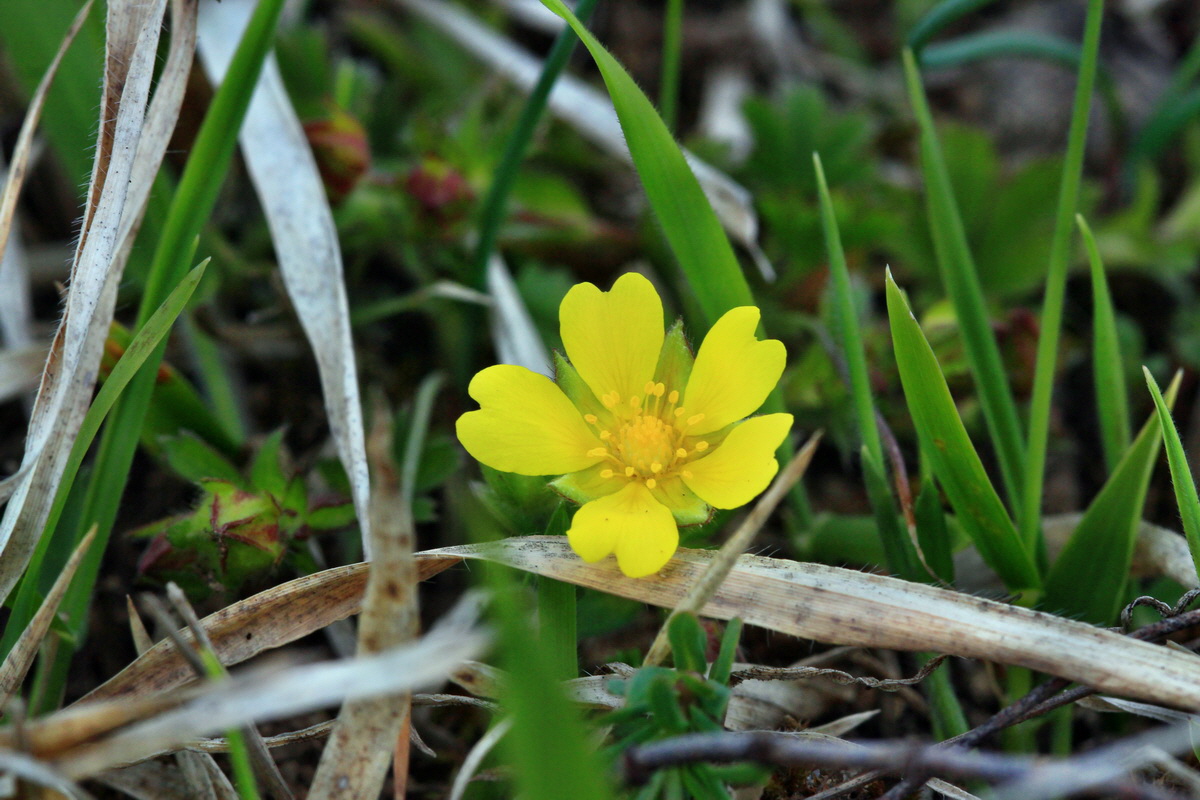 2015_04_06_00016797p_Bildgr��e �ndern