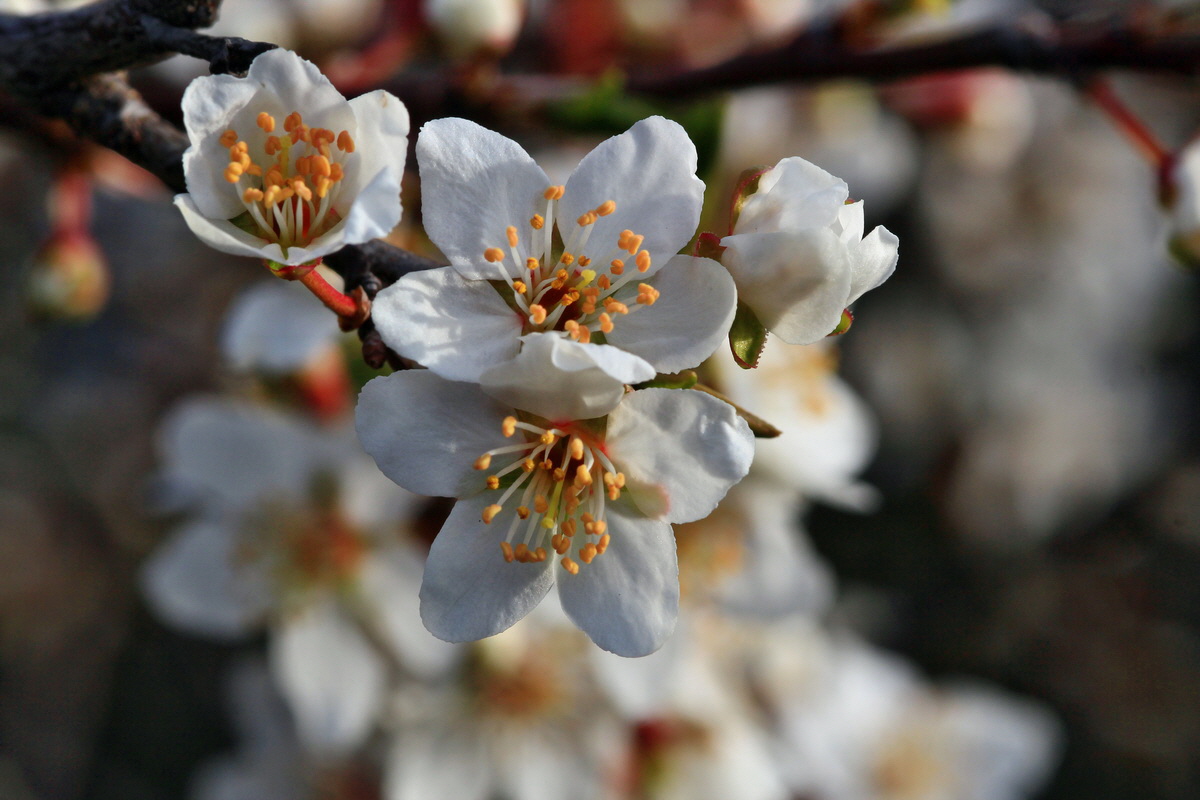 2015_04_07_00016804p_Bildgr��e �ndern