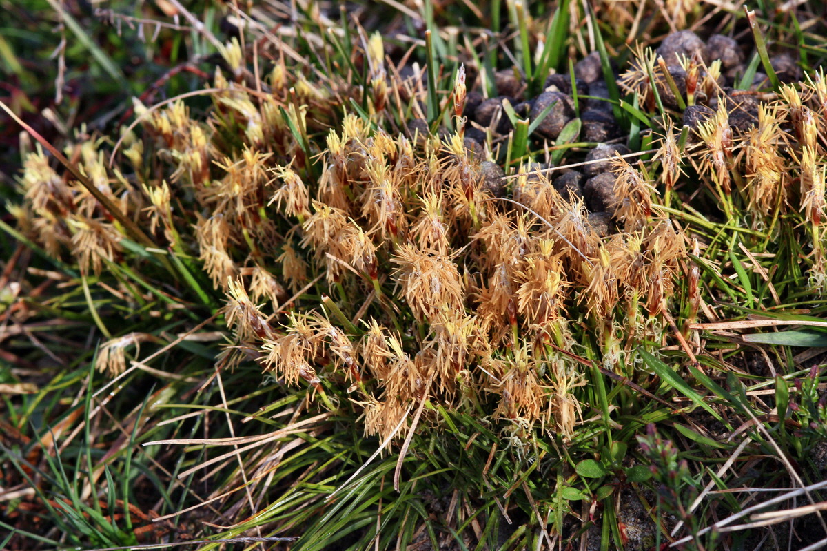 2015_04_07_00016819p_Bildgr��e �ndern