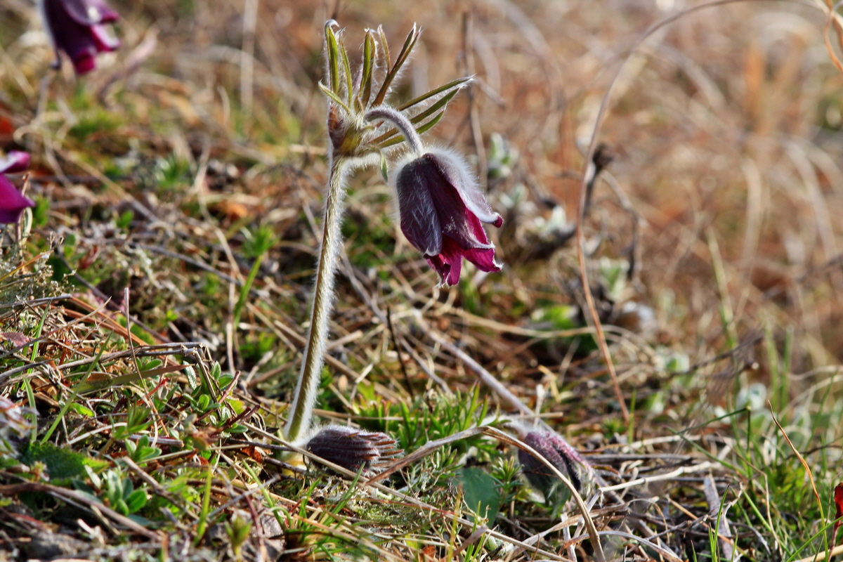 2015_04_07_00016822p_Bildgr��e �ndern