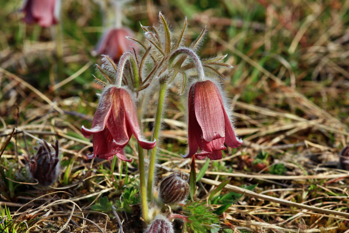 2015_04_07_00016836p_Bildgr��e �ndern