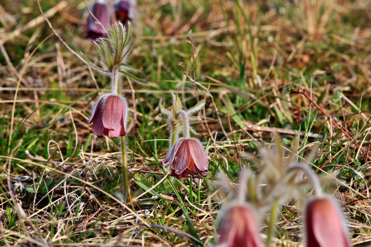 2015_04_07_00016838p_Bildgr��e �ndern