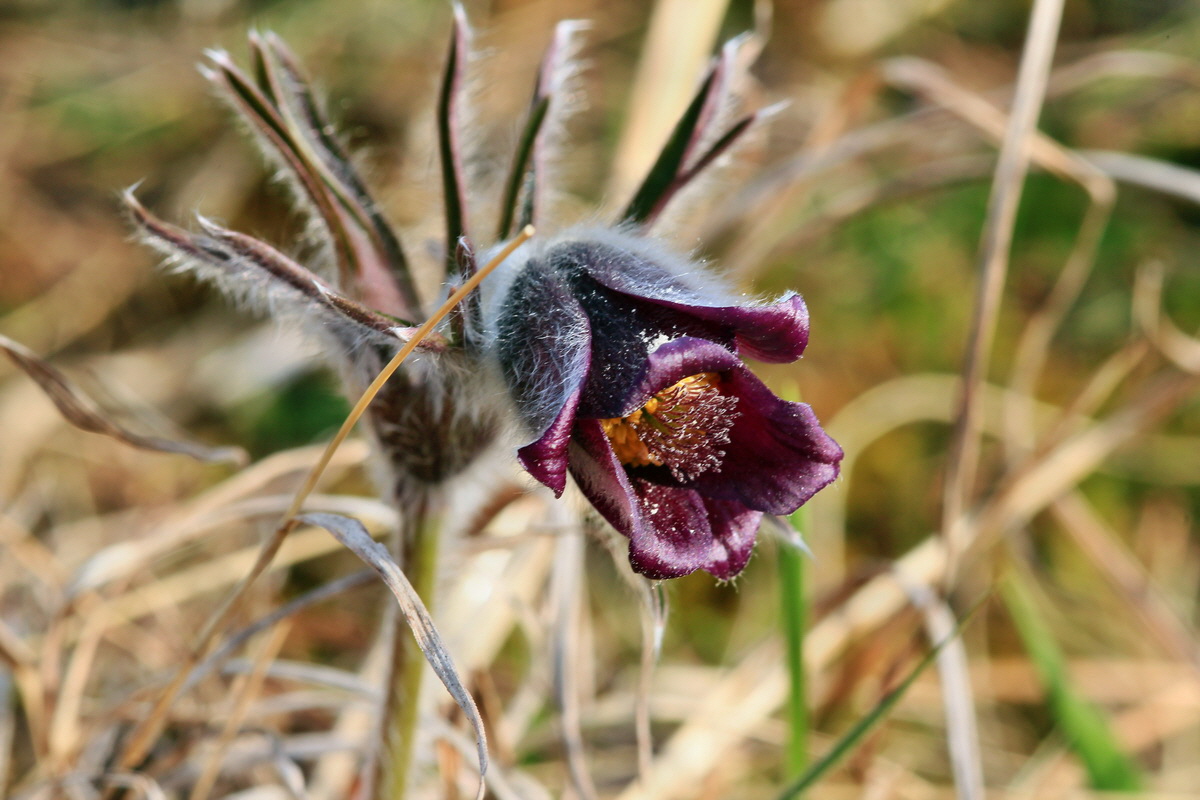 2015_04_07_00016842p_Bildgr��e �ndern