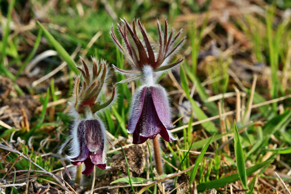 2015_04_07_00016848p_Bildgr��e �ndern