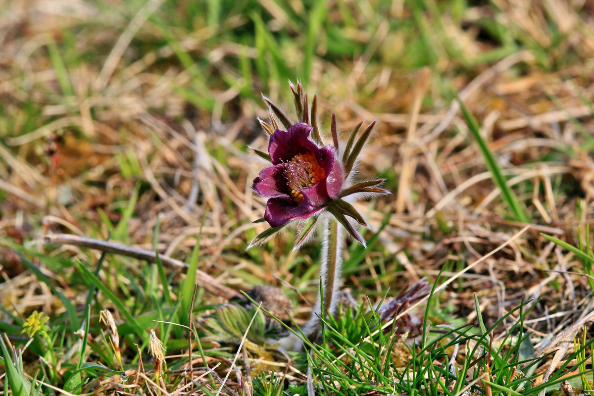 2015_04_07_00016851p_Bildgr��e �ndern