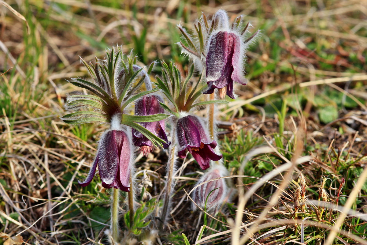 2015_04_07_00016860p_Bildgr��e �ndern