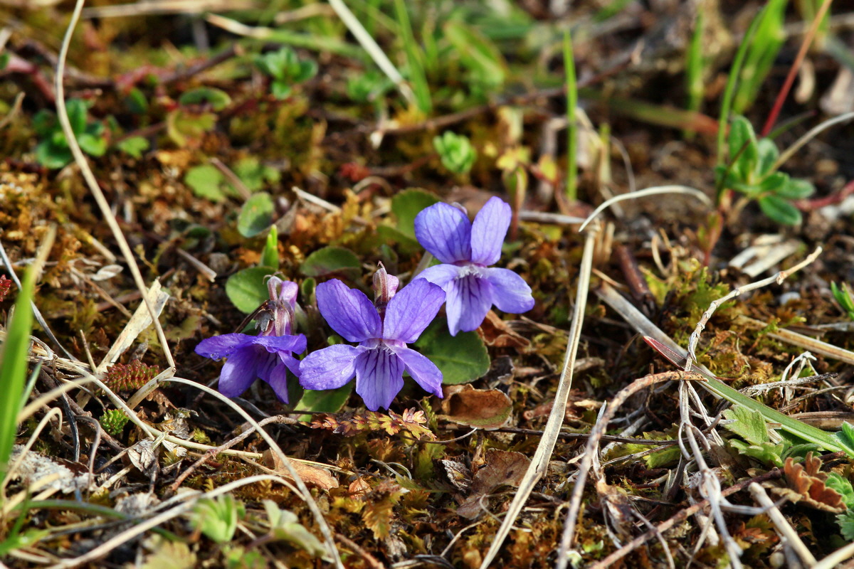 2015_04_07_00016862p_Bildgr��e �ndern