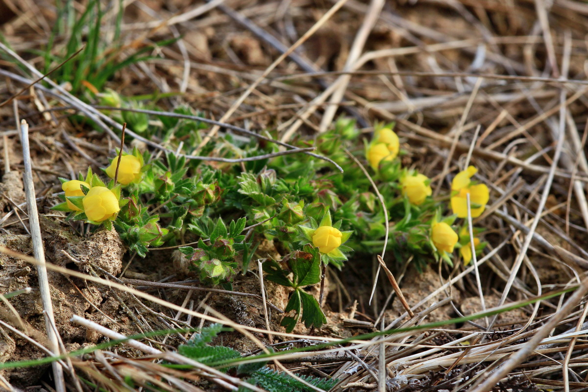 2015_04_07_00016864p_Bildgr��e �ndern