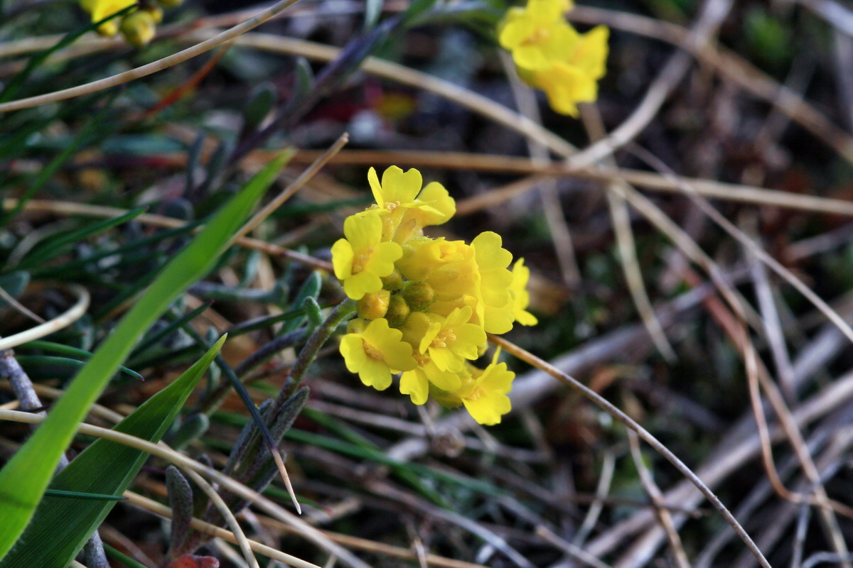 2015_04_07_00016867p_Bildgr��e �ndern