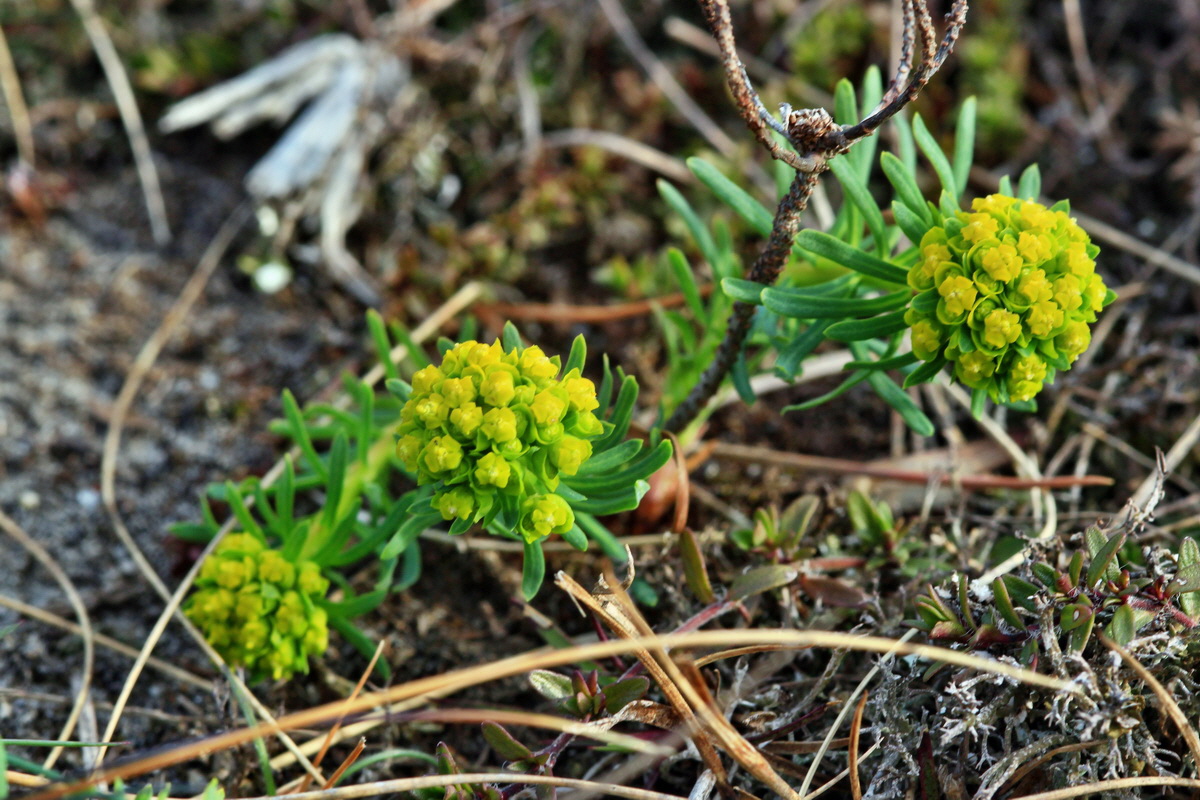 2015_04_07_00016870p_Bildgr��e �ndern