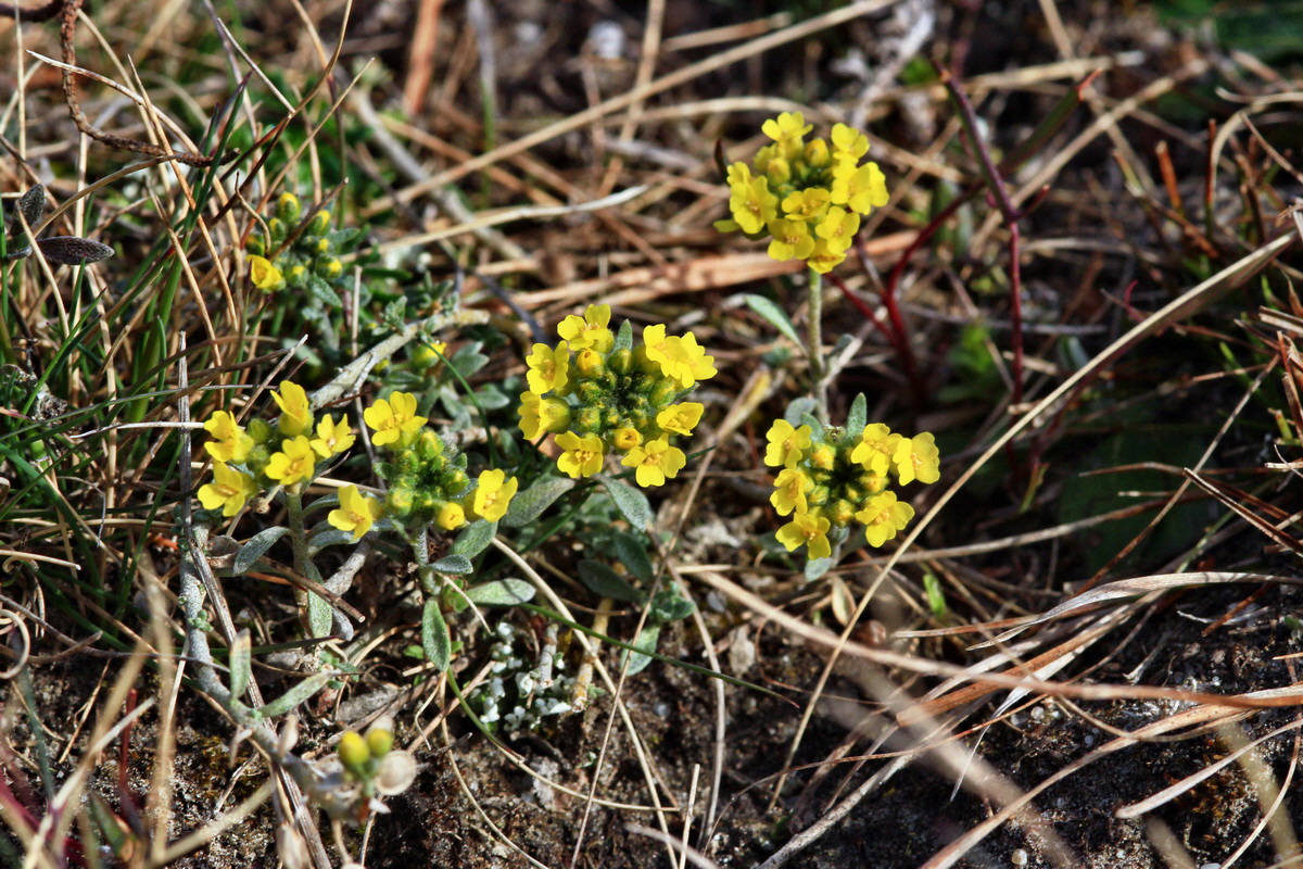 2015_04_07_00016876p_Bildgr��e �ndern