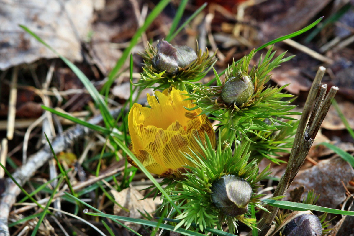 2015_04_07_00016900p_Bildgr��e �ndern