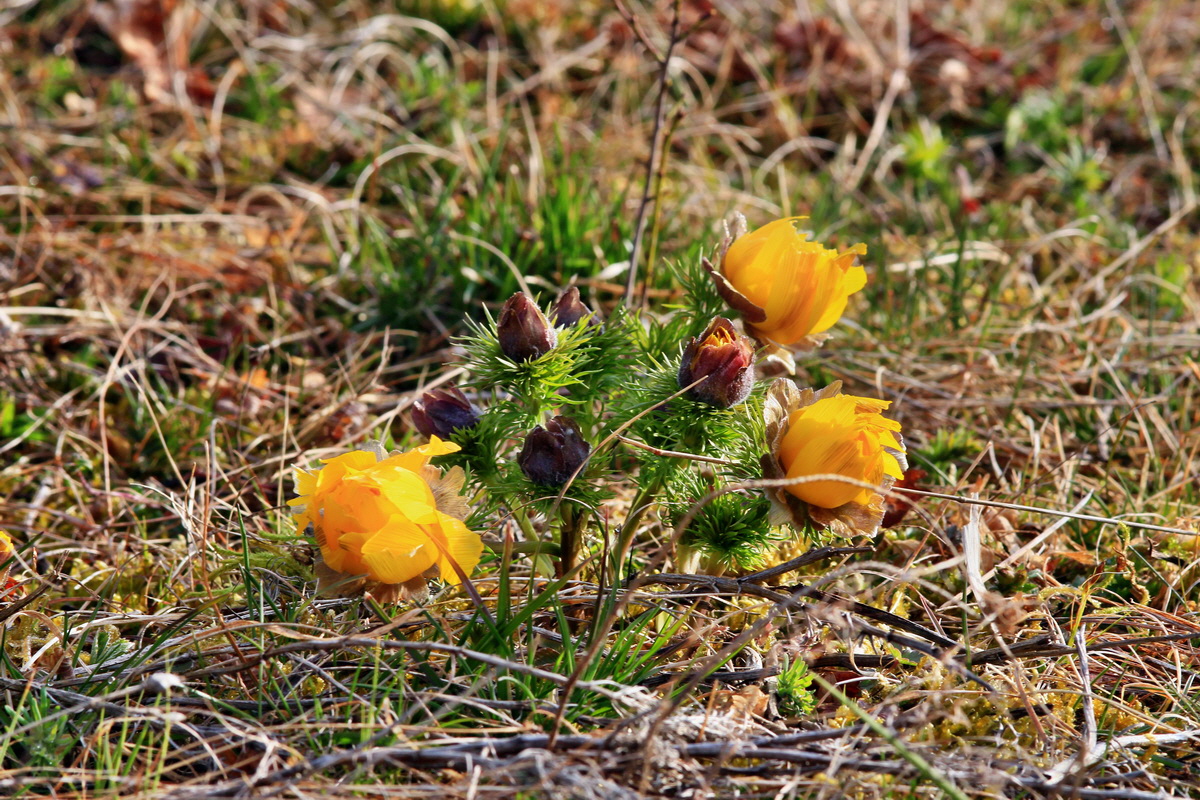 2015_04_07_00016905p_Bildgr��e �ndern