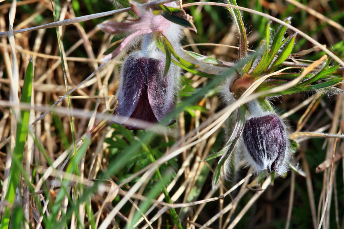 2015_04_07_00016908p_Bildgr��e �ndern