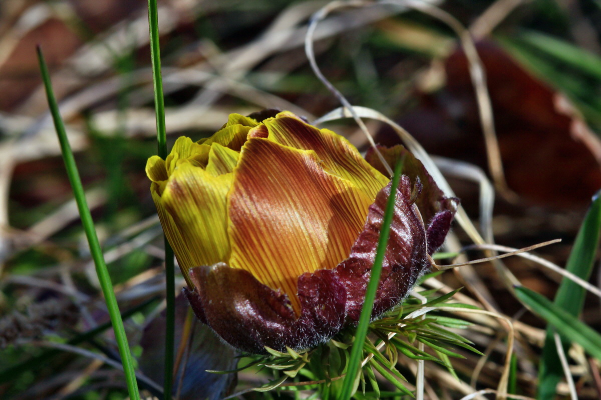 2015_04_07_00016911p_Bildgr��e �ndern