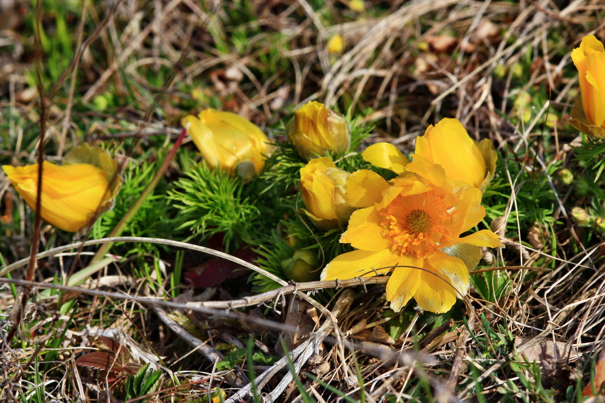 2015_04_07_00016934p_Bildgr��e �ndern